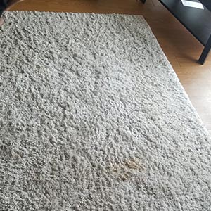 Hairy Rug Cleaning